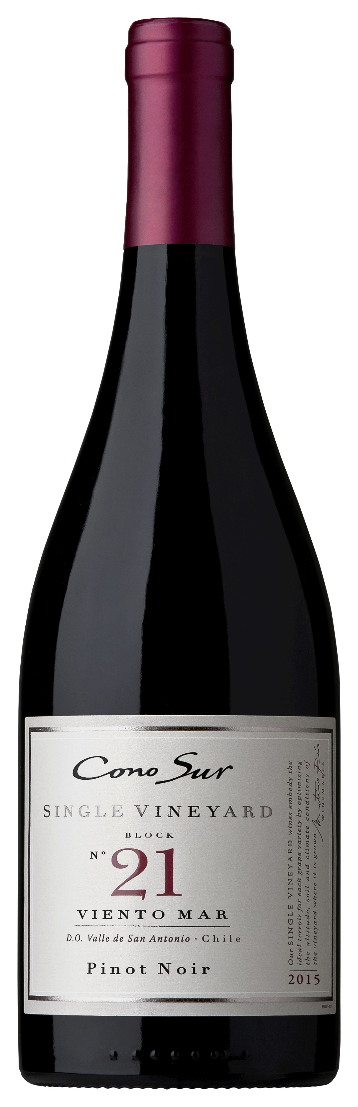 Cono Sur, Single Vineyard, Pinot Noir, San Antonio, DO, dry, red  