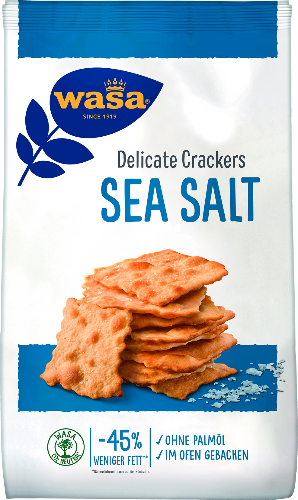 Delicate Crackers seasalt   