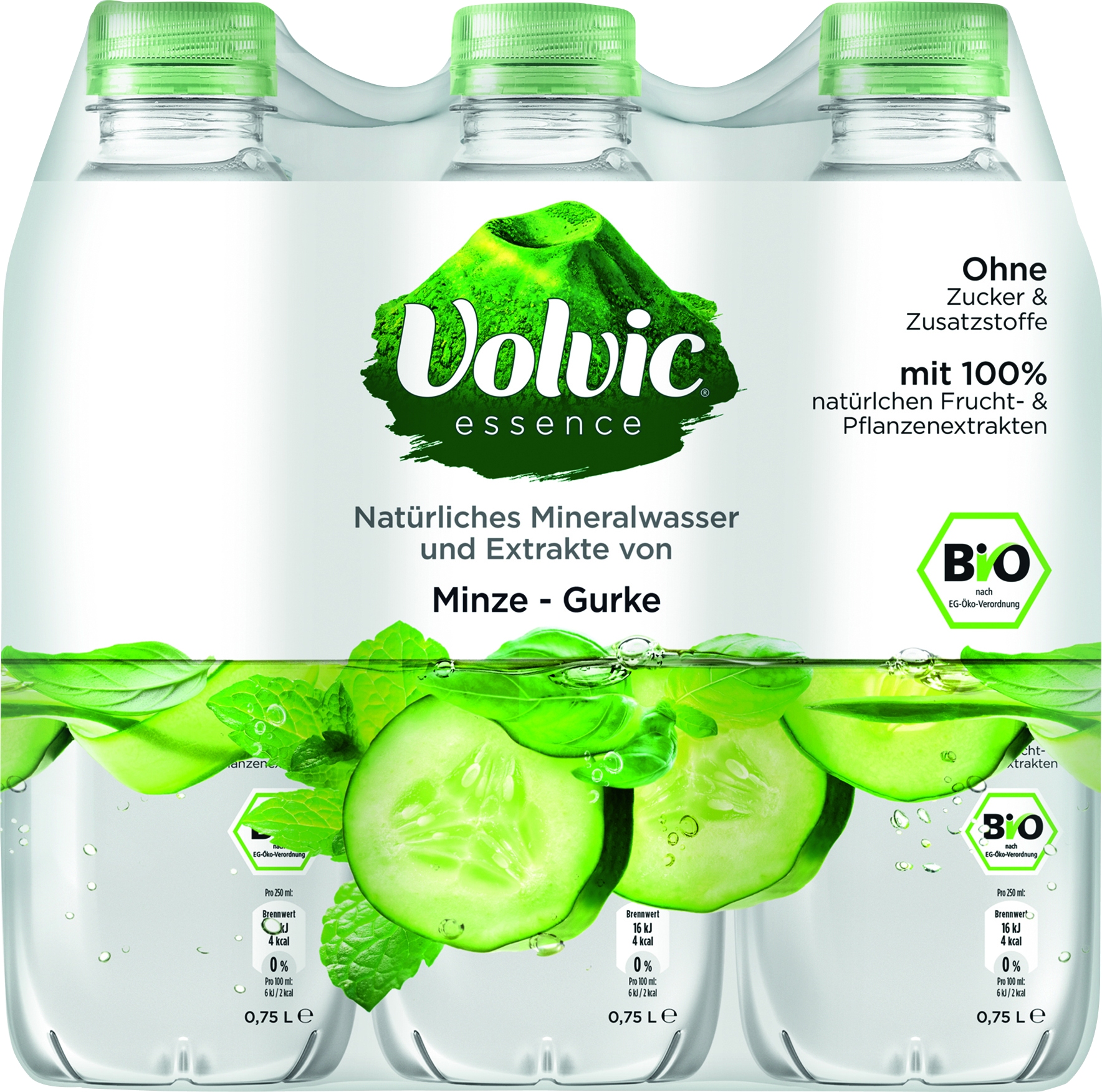 Bio Wasser mit Gurke, Minze, Basilikum   